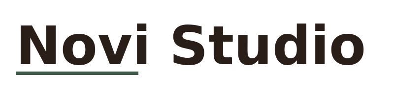 Novi Studio logo